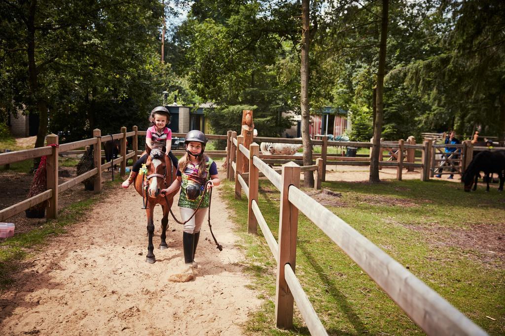 Hotel Center Parcs Erperheide Peer Zewnętrze zdjęcie